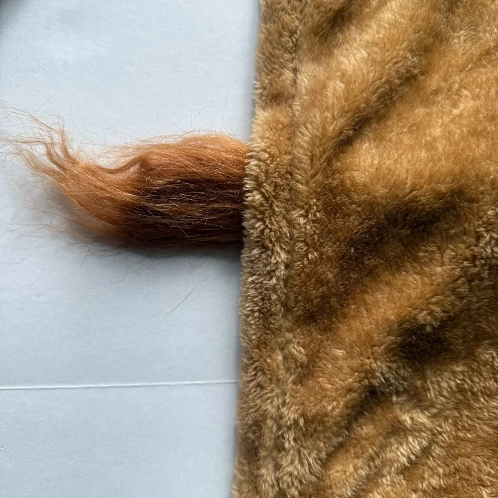 Cowardly Lion Wizard of Oz Boy Halloween Costume Realistic Mane Small 6-7 - Picture 5 of 16